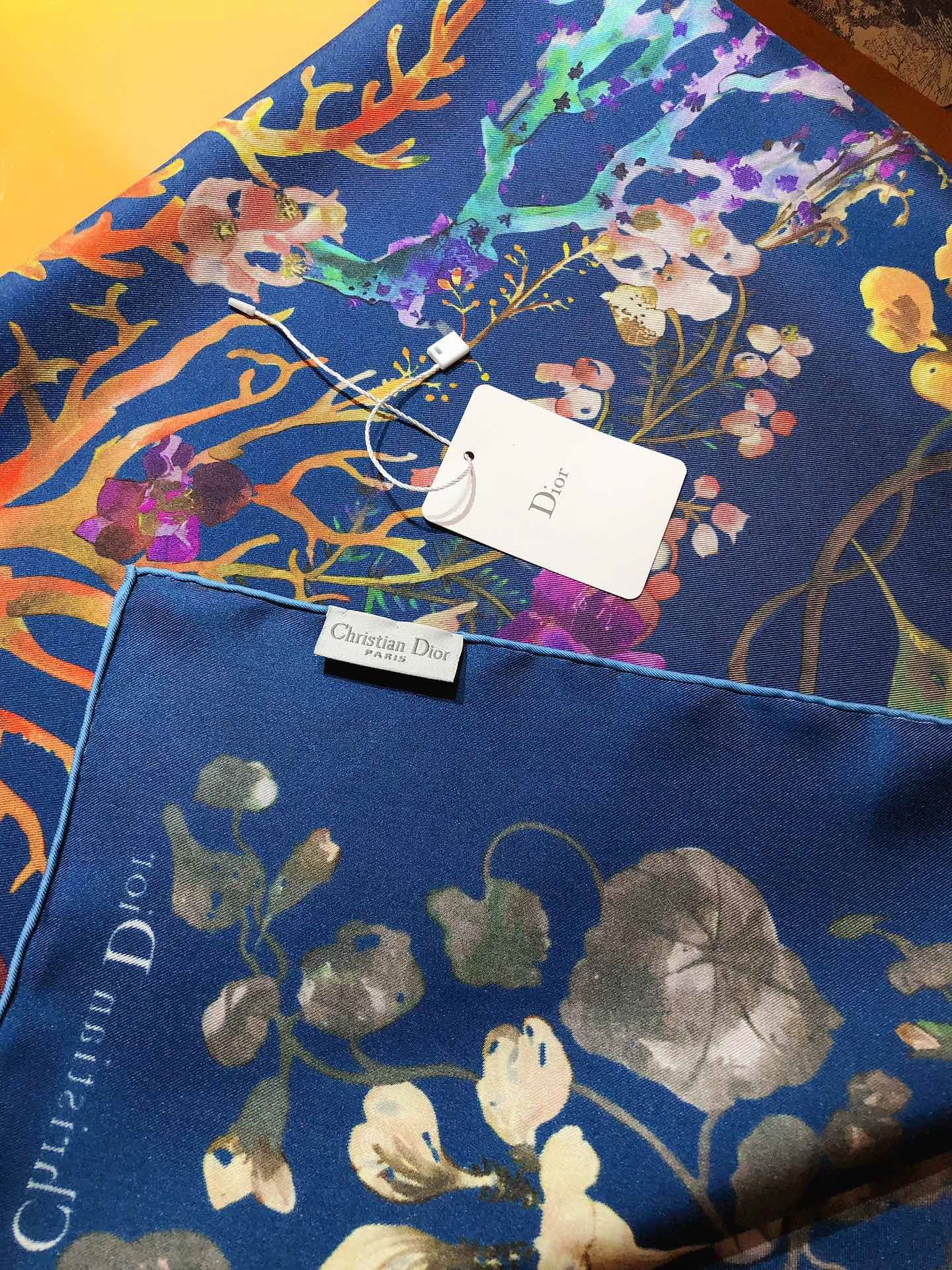 Christian Dior Scarf